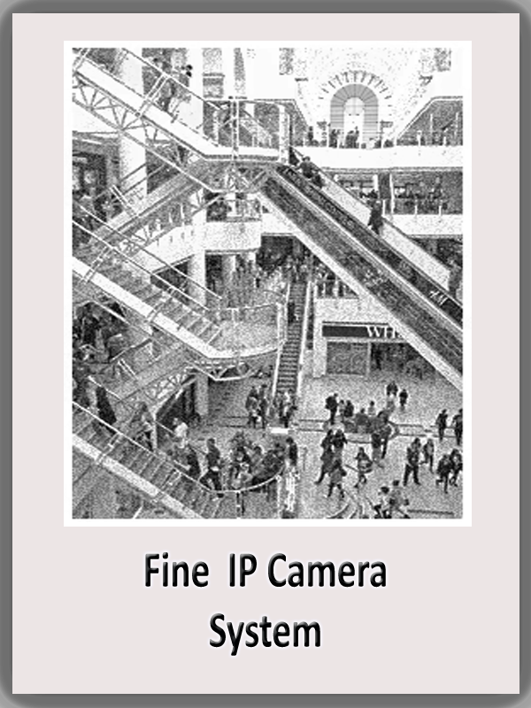 Fine IP Cameras